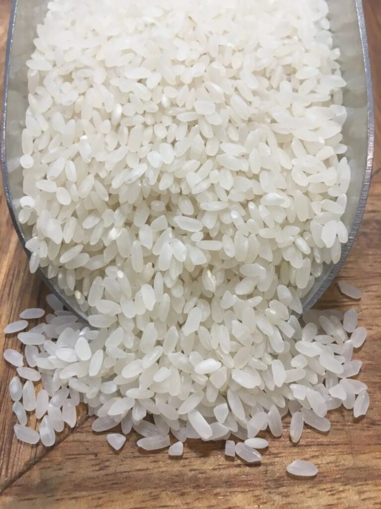 中粒米.jpg